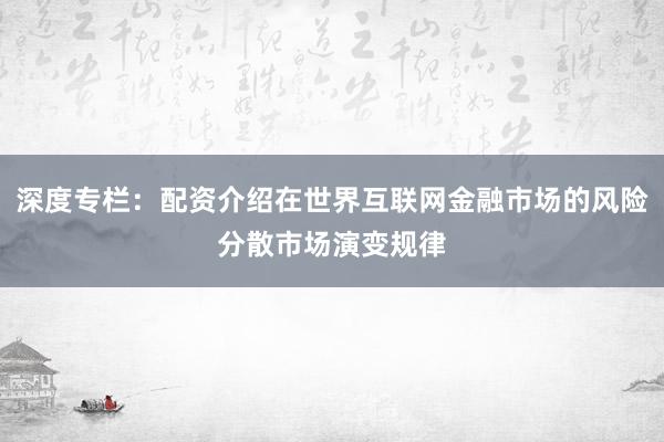 深度专栏：配资介绍在世界互联网金融市场的风险分散市场演变规律