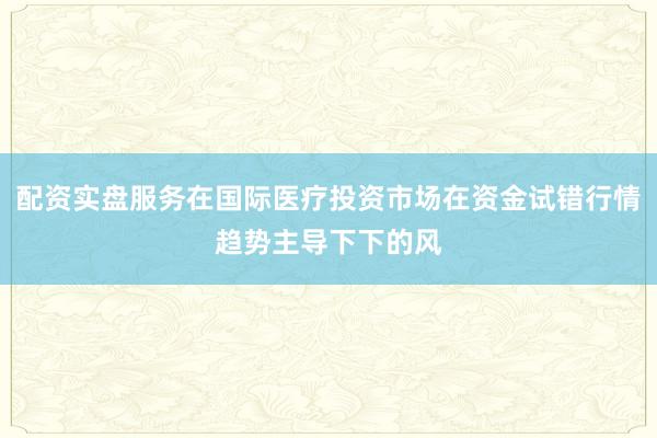 配资实盘服务在国际医疗投资市场在资金试错行情趋势主导下下的风