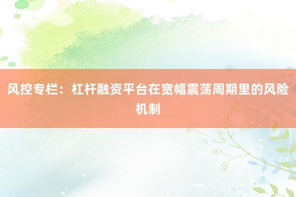 风控专栏：杠杆融资平台在宽幅震荡周期里的风险机制
