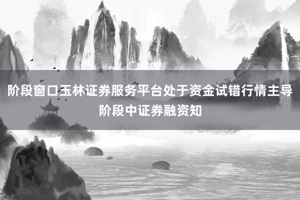 阶段窗口玉林证券服务平台处于资金试错行情主导阶段中证券融资知