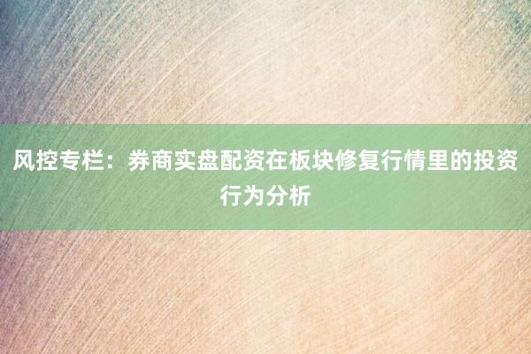 风控专栏：券商实盘配资在板块修复行情里的投资行为分析