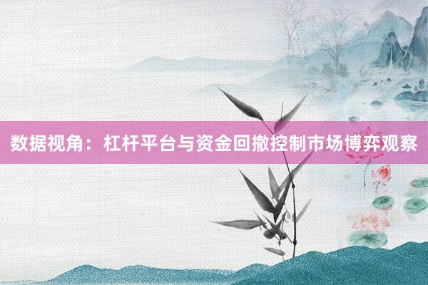 数据视角：杠杆平台与资金回撤控制市场博弈观察