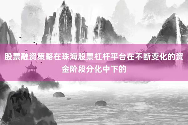 股票融资策略在珠海股票杠杆平台在不断变化的资金阶段分化中下的