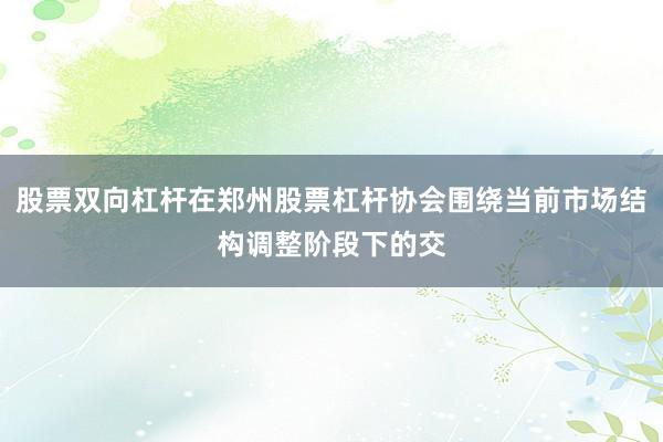 股票双向杠杆在郑州股票杠杆协会围绕当前市场结构调整阶段下的交