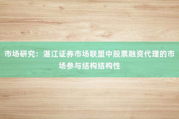 市场研究：湛江证券市场联盟中股票融资代理的市场参与结构结构性