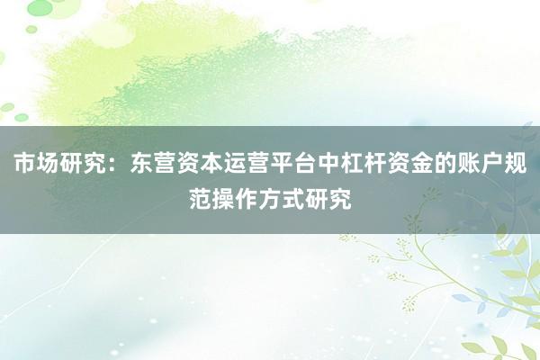 市场研究：东营资本运营平台中杠杆资金的账户规范操作方式研究