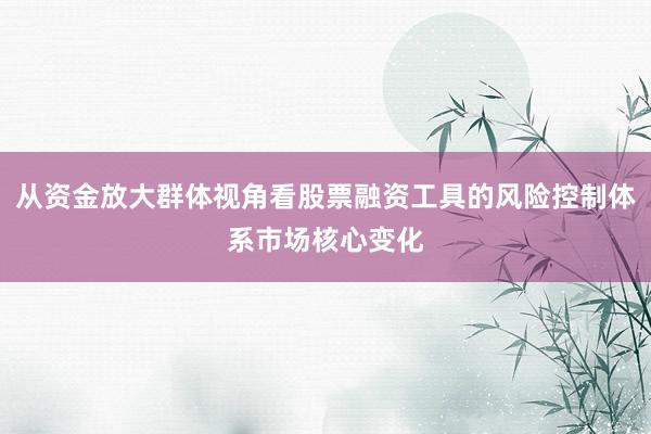 从资金放大群体视角看股票融资工具的风险控制体系市场核心变化