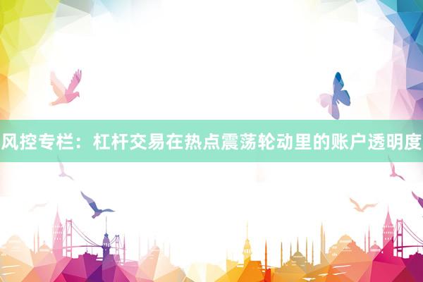 风控专栏：杠杆交易在热点震荡轮动里的账户透明度