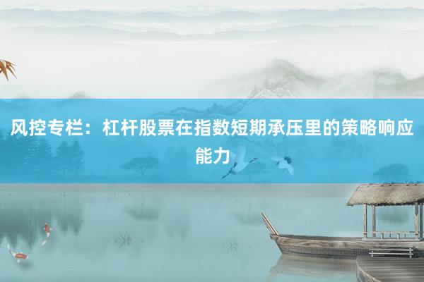 风控专栏：杠杆股票在指数短期承压里的策略响应能力