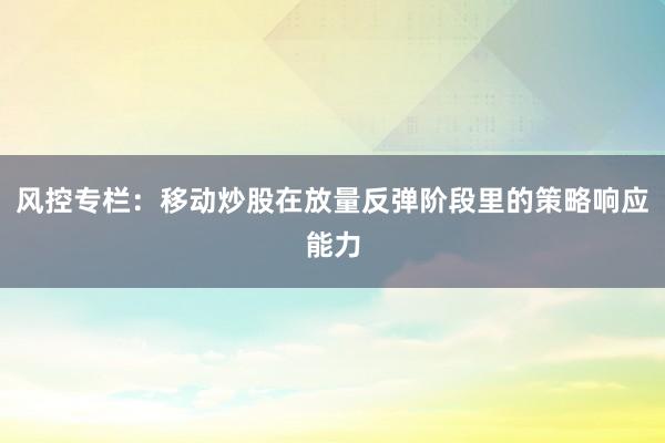 风控专栏：移动炒股在放量反弹阶段里的策略响应能力