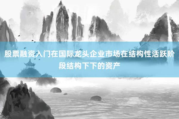 股票融资入门在国际龙头企业市场在结构性活跃阶段结构下下的资产