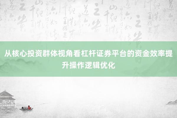 从核心投资群体视角看杠杆证券平台的资金效率提升操作逻辑优化