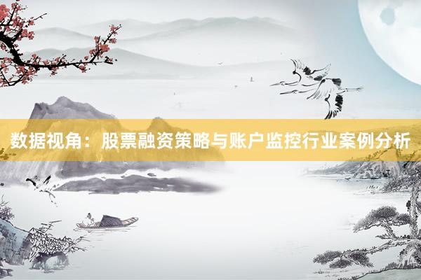 数据视角：股票融资策略与账户监控行业案例分析