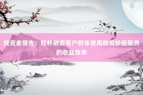 投资者报告：杠杆融资客户群体使用融资炒股服务的收益效率