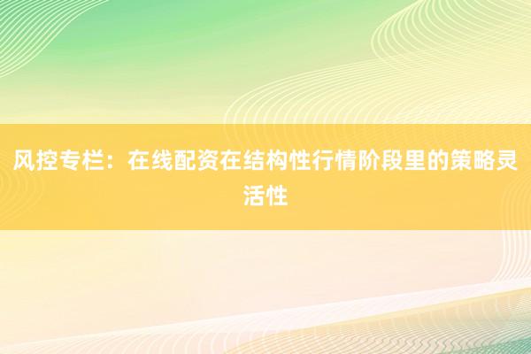风控专栏:在线配资在结构性行情阶段里的策略灵活性