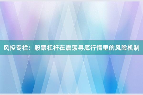 风控专栏：股票杠杆在震荡寻底行情里的风险机制