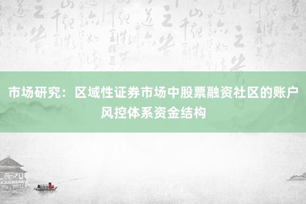 市场研究：区域性证券市场中股票融资社区的账户风控体系资金结构