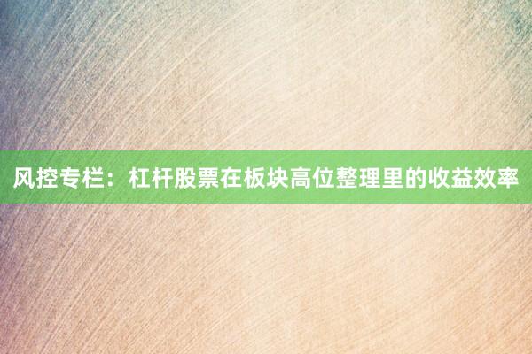 风控专栏：杠杆股票在板块高位整理里的收益效率