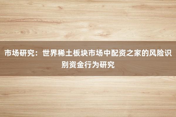 市场研究：世界稀土板块市场中配资之家的风险识别资金行为研究