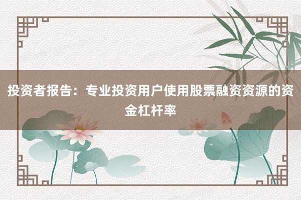 投资者报告：专业投资用户使用股票融资资源的资金杠杆率