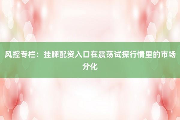 风控专栏：挂牌配资入口在震荡试探行情里的市场分化