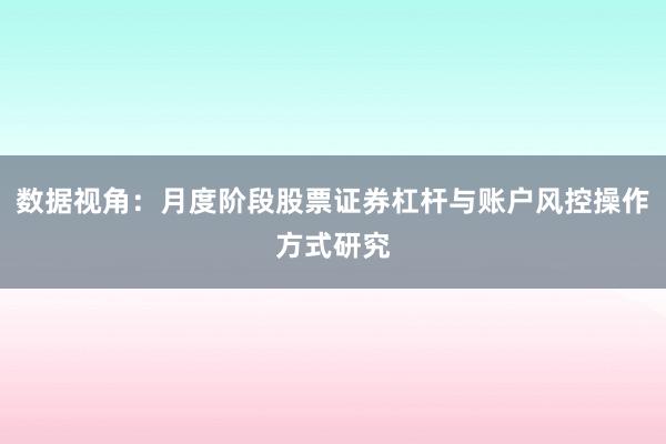 数据视角：月度阶段股票证券杠杆与账户风控操作方式研究