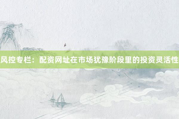 风控专栏：配资网址在市场犹豫阶段里的投资灵活性