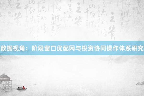 数据视角：阶段窗口优配网与投资协同操作体系研究