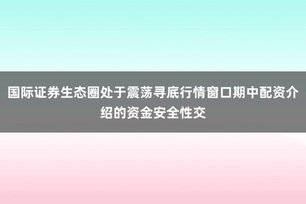 国际证券生态圈处于震荡寻底行情窗口期中配资介绍的资金安全性交