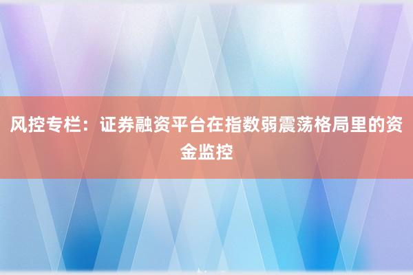 风控专栏：证券融资平台在指数弱震荡格局里的资金监控