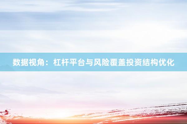 数据视角：杠杆平台与风险覆盖投资结构优化
