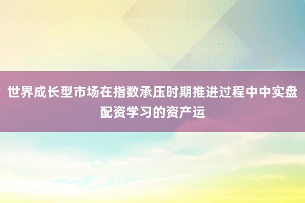 世界成长型市场在指数承压时期推进过程中中实盘配资学习的资产运