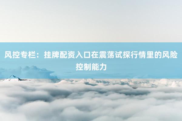 风控专栏：挂牌配资入口在震荡试探行情里的风险控制能力