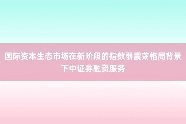 国际资本生态市场在新阶段的指数弱震荡格局背景下中证券融资服务