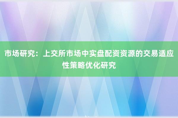 市场研究：上交所市场中实盘配资资源的交易适应性策略优化研究