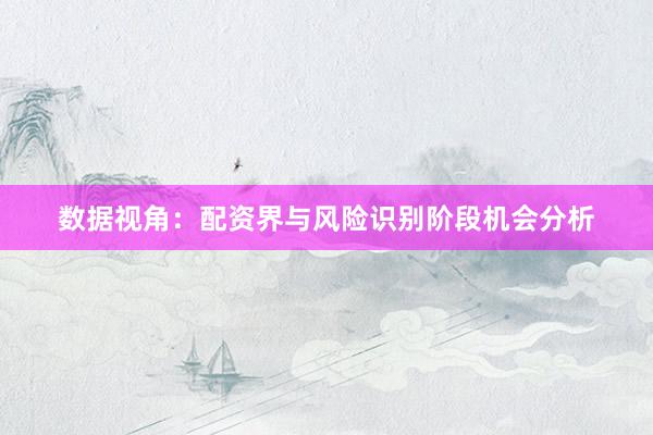 数据视角：配资界与风险识别阶段机会分析