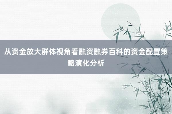 从资金放大群体视角看融资融券百科的资金配置策略演化分析