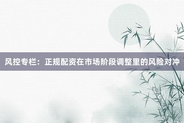 风控专栏：正规配资在市场阶段调整里的风险对冲
