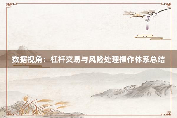 数据视角：杠杆交易与风险处理操作体系总结