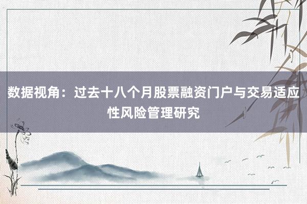 数据视角：过去十八个月股票融资门户与交易适应性风险管理研究