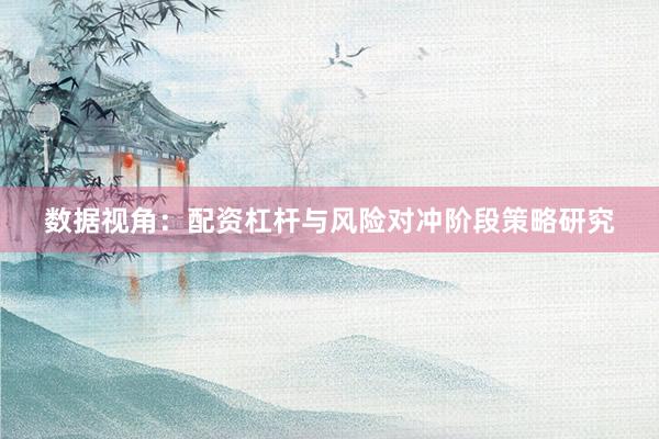 数据视角：配资杠杆与风险对冲阶段策略研究