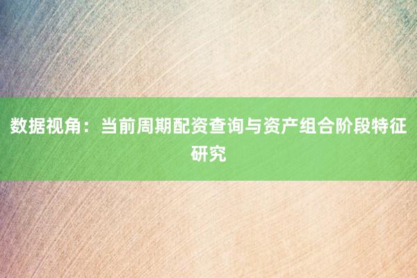 数据视角：当前周期配资查询与资产组合阶段特征研究