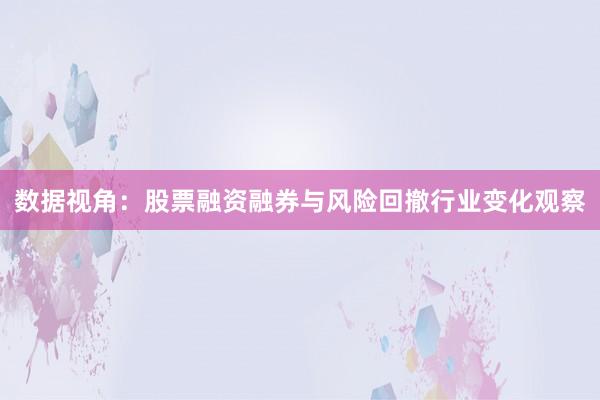 数据视角：股票融资融券与风险回撤行业变化观察