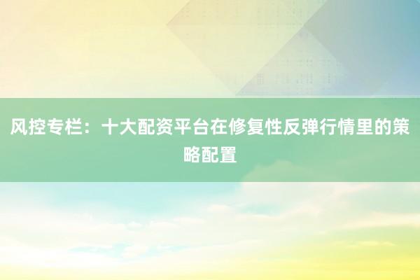 风控专栏：十大配资平台在修复性反弹行情里的策略配置