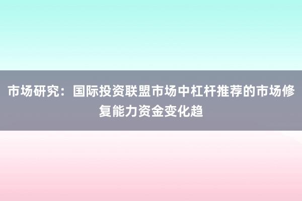 市场研究：国际投资联盟市场中杠杆推荐的市场修复能力资金变化趋