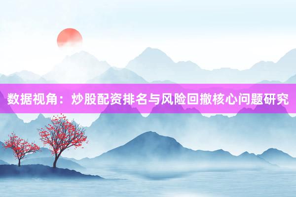数据视角：炒股配资排名与风险回撤核心问题研究