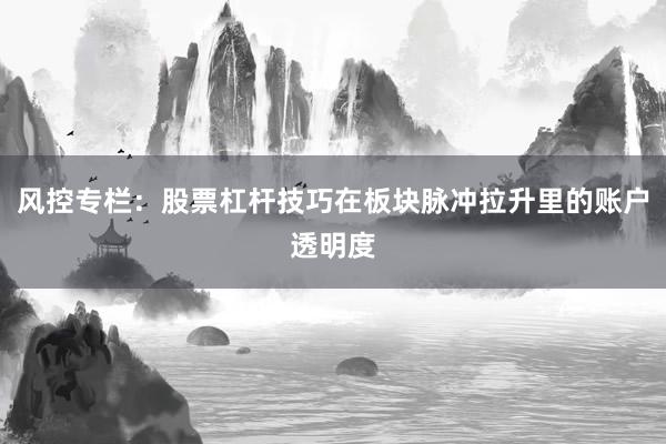 风控专栏：股票杠杆技巧在板块脉冲拉升里的账户透明度