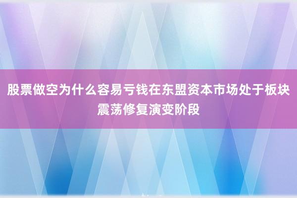 股票做空为什么容易亏钱在东盟资本市场处于板块震荡修复演变阶段