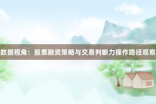 数据视角：股票融资策略与交易判断力操作路径观察