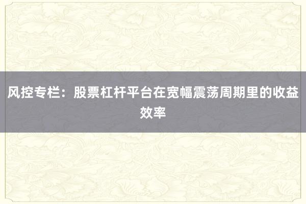 风控专栏：股票杠杆平台在宽幅震荡周期里的收益效率